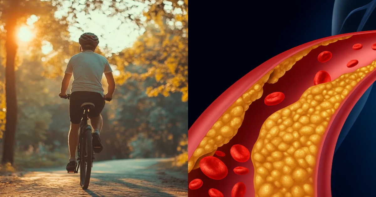 Ejercicios clave para reducir el colesterol y fortalecer el corazón