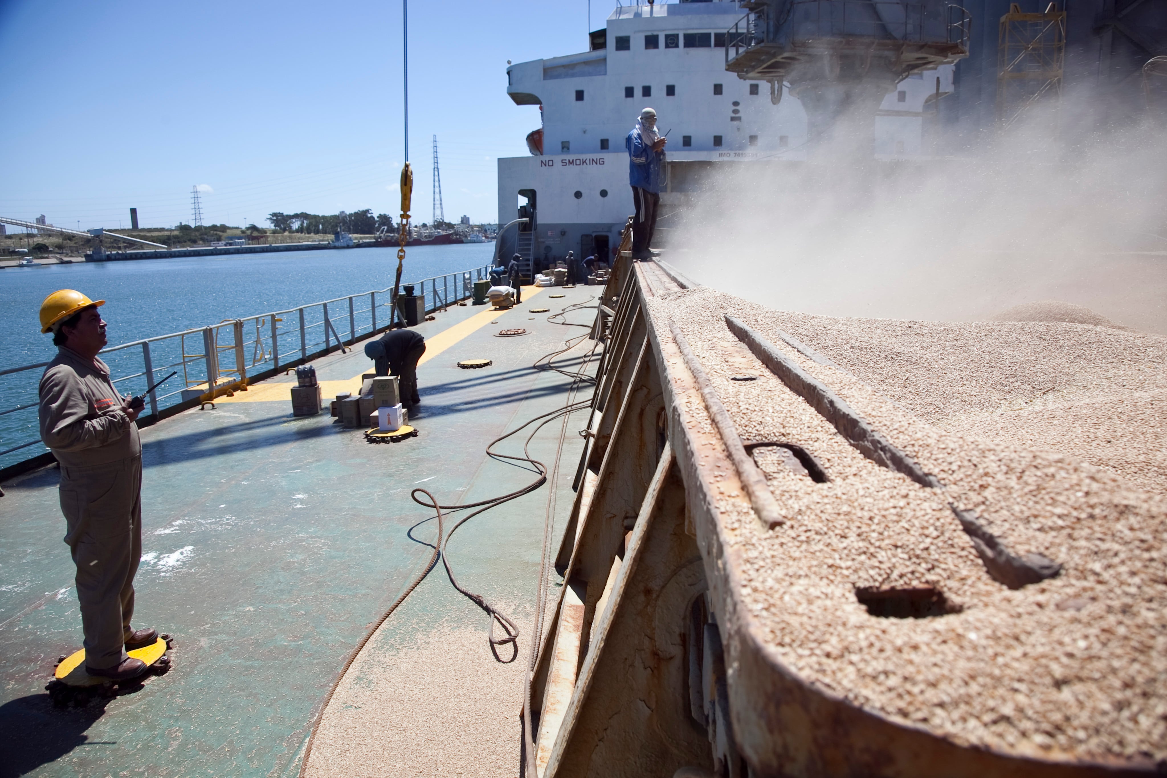 Los precios internacionales de exportación cayeron en los dos primeros años de Gobierno de Milei, de modo que la mejora se explicó por el aumento de las cantidades exportadas (Foto: SAGyP)