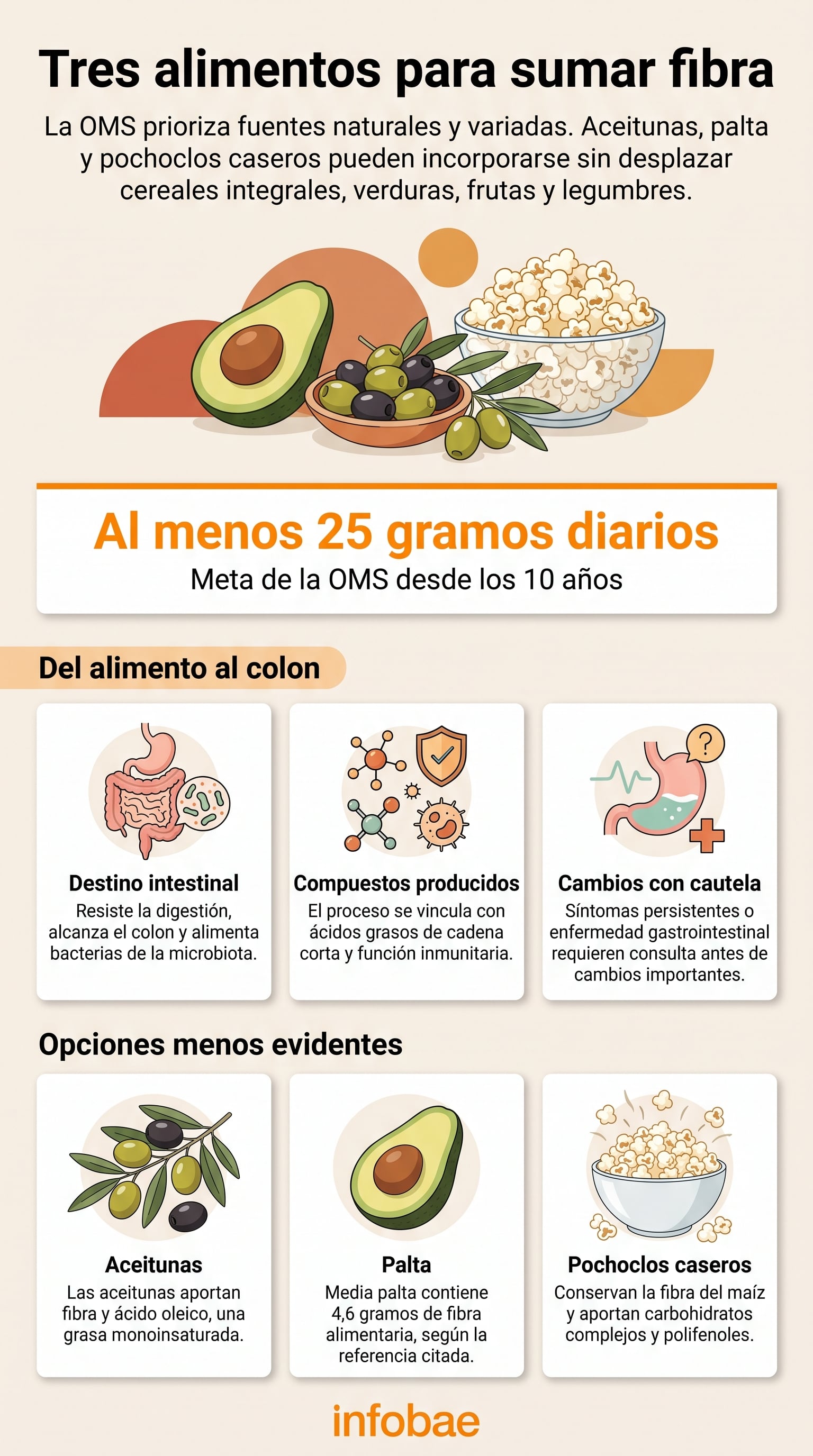 La Organización Mundial de la Salud recomienda consumir al menos 25 gramos diarios de fibra natural. (Imagen Ilustrativa Infobae)