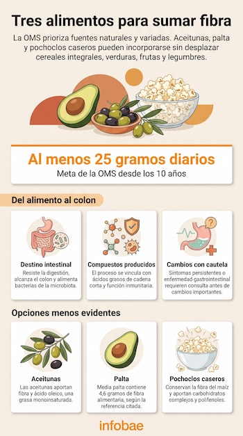 Infografía con textos e ilustraciones de una palta, aceitunas, un bol con pochoclos, un intestino, moléculas y un estómago.