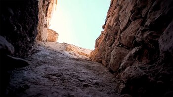 La Autoridad de Antigüedades de