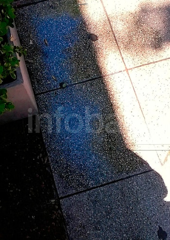 Se rompió un tobillo en la puerta del Concejo Deliberante y, diez años después, la Municipalidad deberá indemnizarla