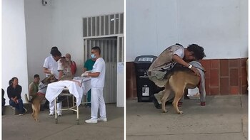 Perro se quedó por fuera