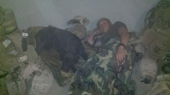 Caceres presentó una propuesta al senado para que los perros militares puedan ser enterrados en cementerios de veteranos. (Facebook/Nick Caceres)
Caceres presentó una propuesta al senado para que los perros militares puedan ser enterrados en cementerios de veteranos. (Facebook/Nick Caceres)