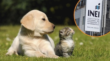 Estudio del INEI incluirá preguntas