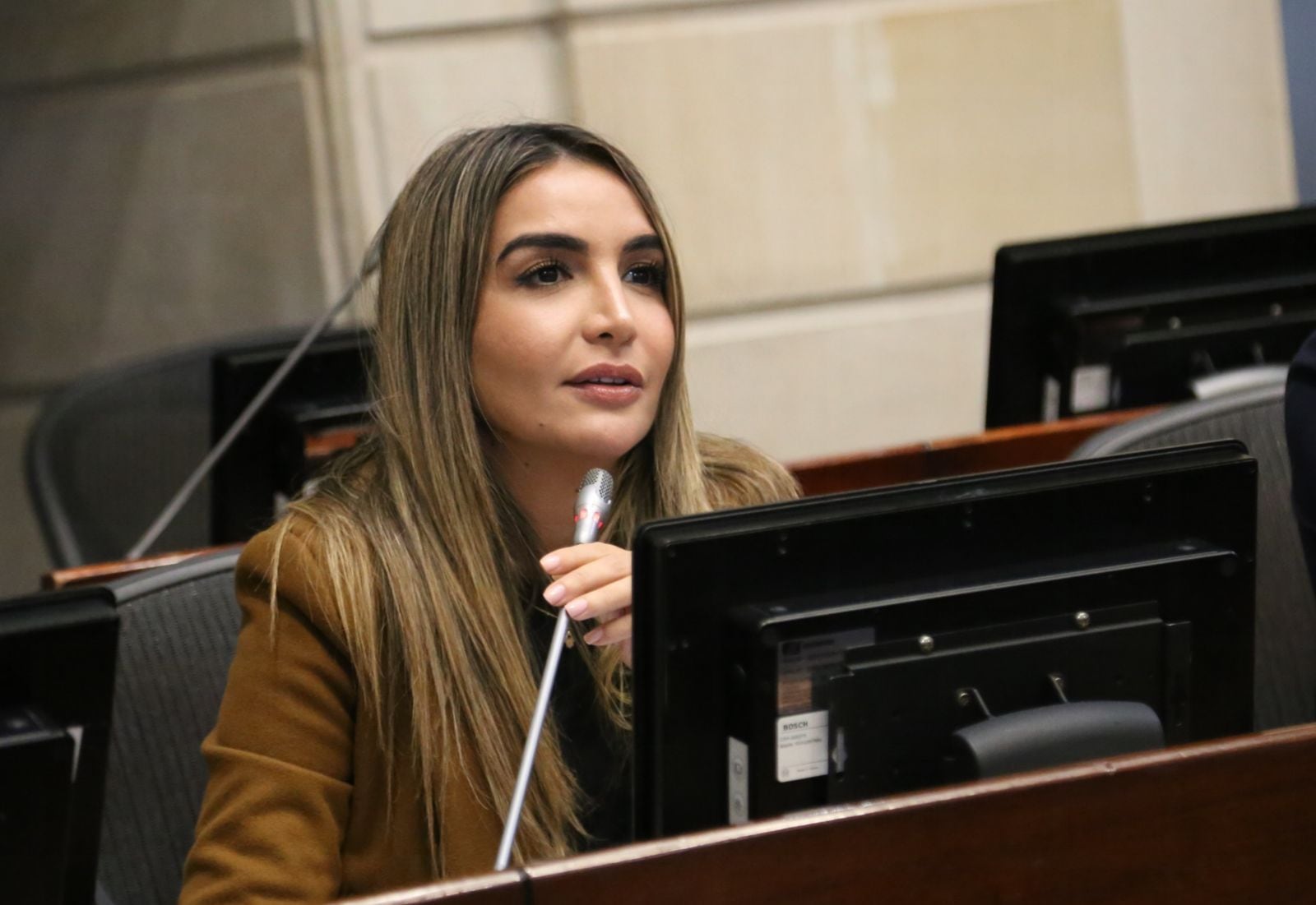 Nadia Blel renunció de manera irrevocable a la presidencia del Partido  Conservador: “Es lo correcto” - Infobae