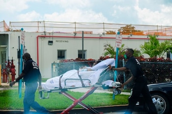 Imagen de archivo de técnicos