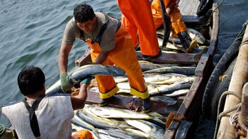 Industrias pesquera y acuícola en