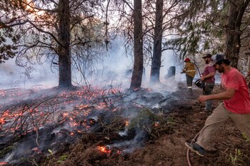 Más de 2 mil hectáreas