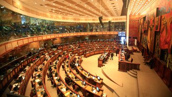 Ecuador's congress asked the Constitutional