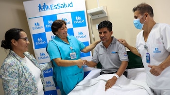 Los especialistas advierten que el veneno de algunas arañas puede provocar alteraciones cardíacas, renales, hepáticas y neurológicas - Créditos: Essalud.