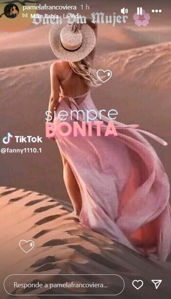 Publicaciones de Pamela Franco tras