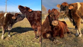 Helen conoció a Margaret, otra