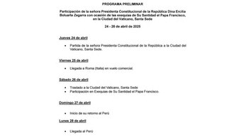 Programa preliminar de Dina Boluarte