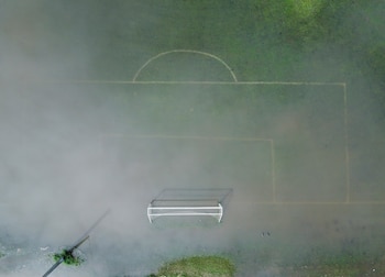 Alternativas al caucho, como el