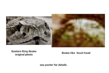 Una comparación hecha por el