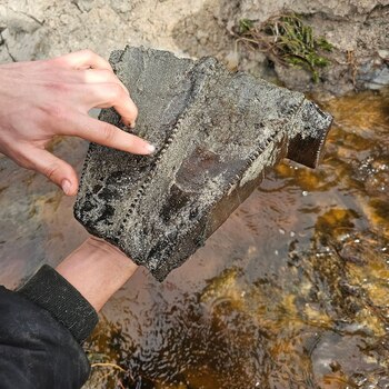 Piezas de madera tallada encontradas