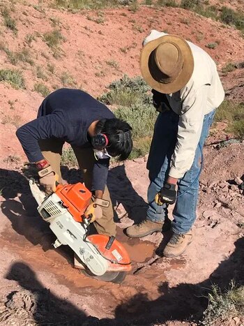 Un fósil hallado en tierras