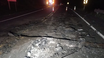 Ofrecen recompensa para capturar a