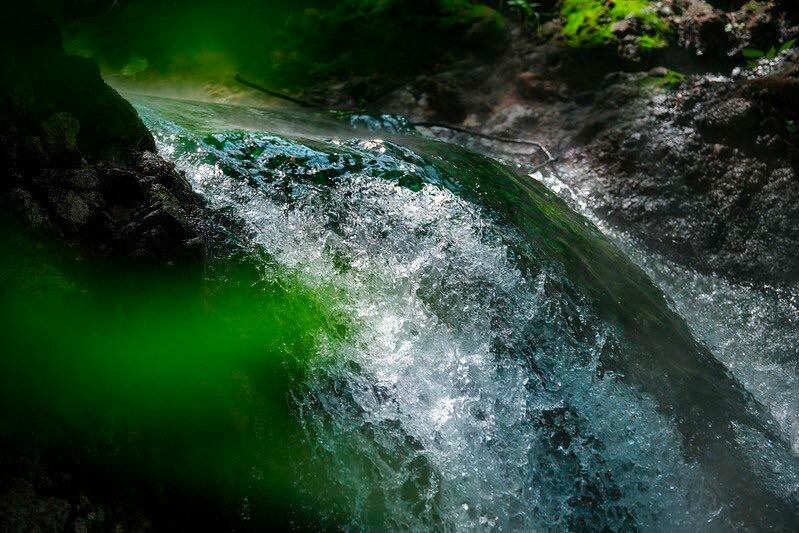 Este ecocidio expone la necesidad de mayor vigilancia en reservas naturales protegidas como el Bosque de la Primavera (FB/ Pablo Lemus Navarro)