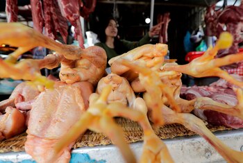 Las autoridades sanitarias chinas anunciaron