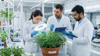 Tres científicos con batas blancas y guantes azules revisan una planta de ruda en un laboratorio con microscopios, tubos de ensayo y material de vidrio.