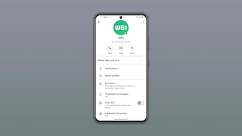 (WaBetaInfo)