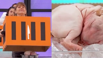 Nailea Norvind levanta una caja naranja junto a un plano en detalle de un conejillo de Indias entero y crudo sobre hielo