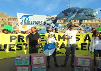 Activistas por el medio ambiente