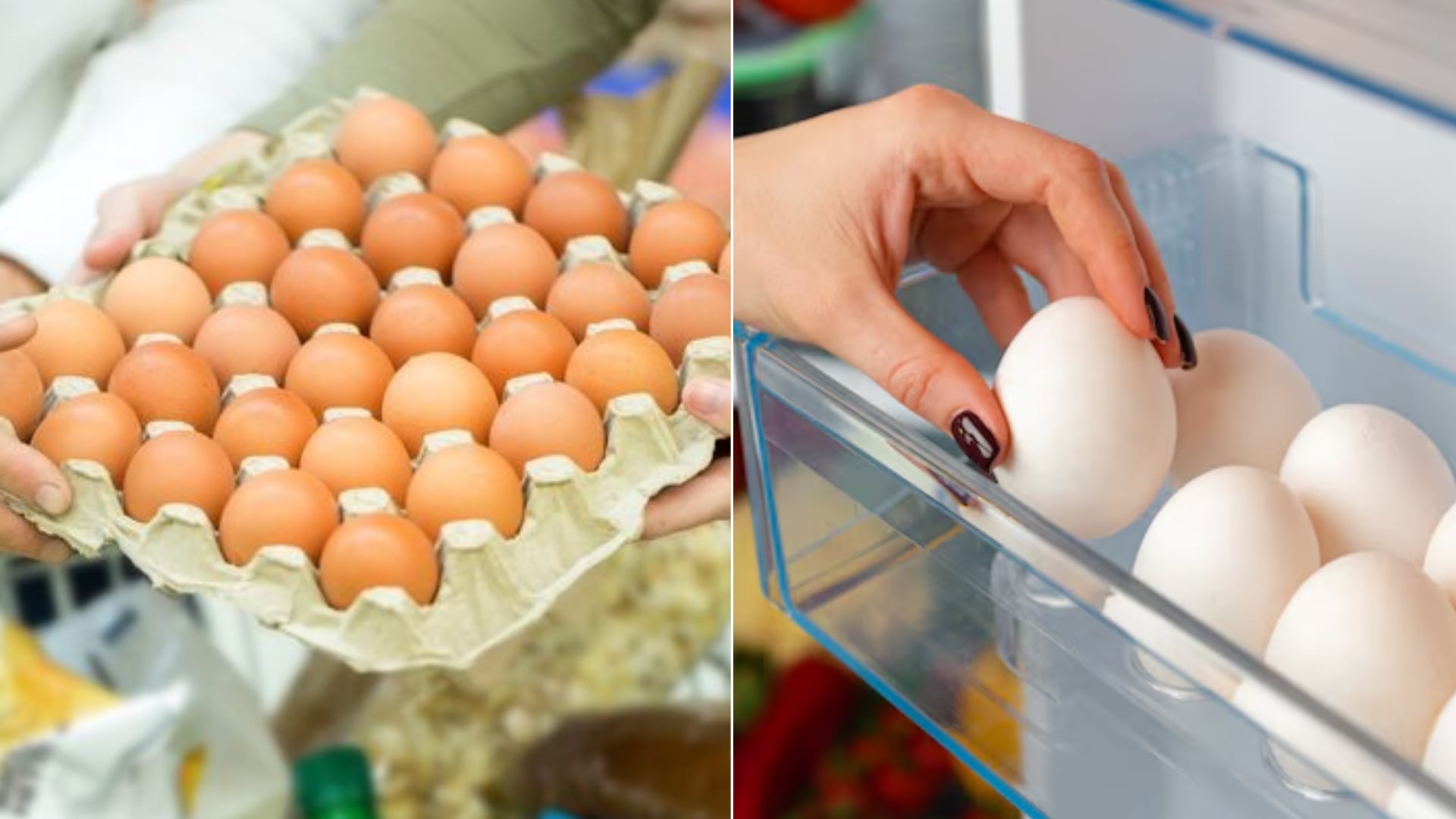 La conservación segura de los huevos requiere una temperatura constante cercana a los 4 °C y evitar periodos prolongados a temperatura ambiente - (Freepik)