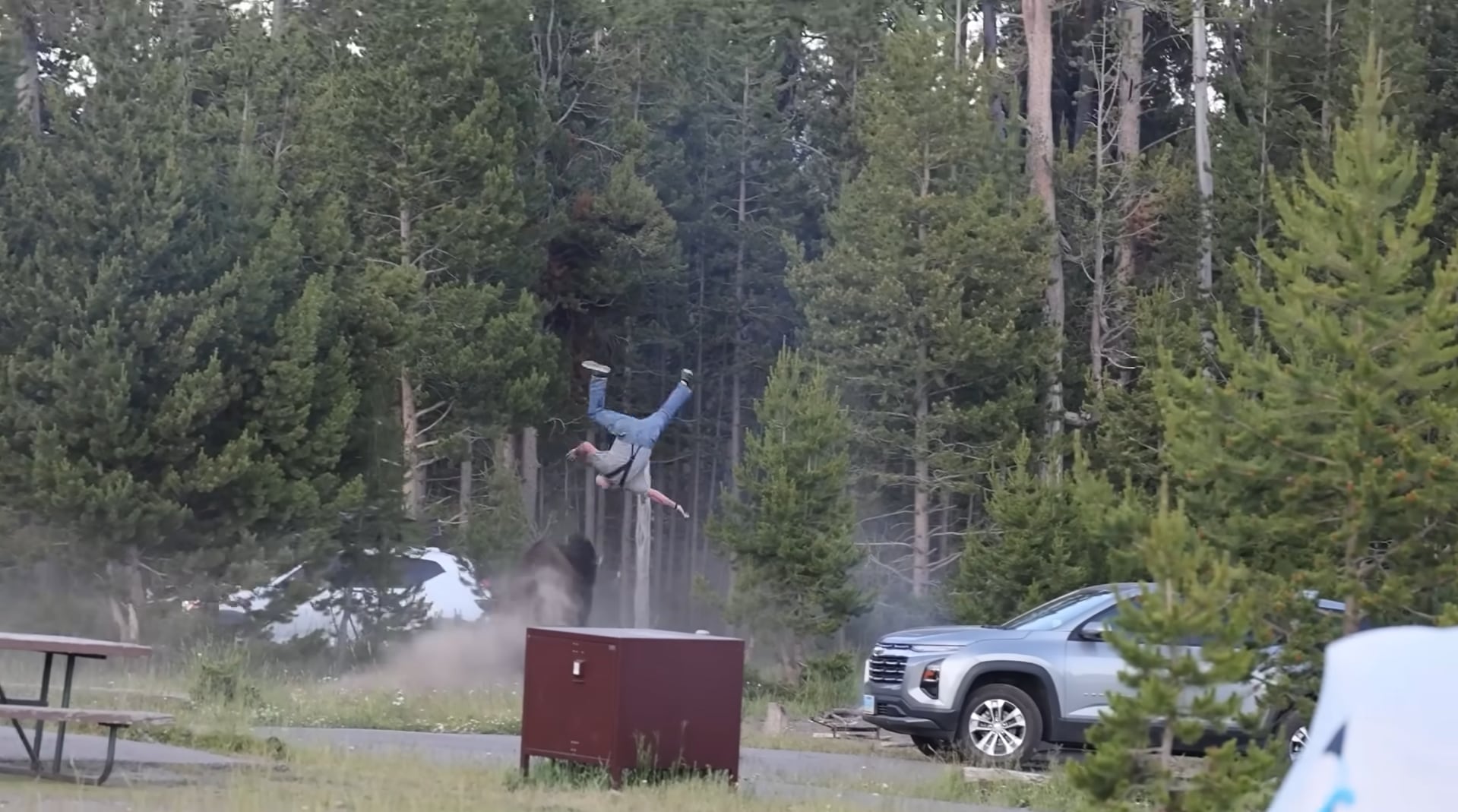 Un bisonte macho atacó a un turista en el campamento Bridge Bay del Parque Nacional de Yellowstone y lo lanzó más de 2,4 metros por el aire (Captura Cowboy State Daily)