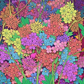 Aquí está el corazón. Foto: