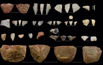 Imagen 5FSZNIGX5RDSHHAGJ5CBPM5URY