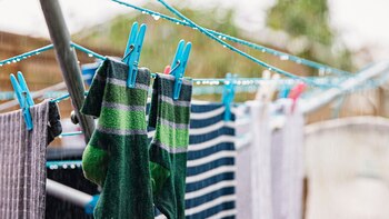 Cada vez más vecinos optan