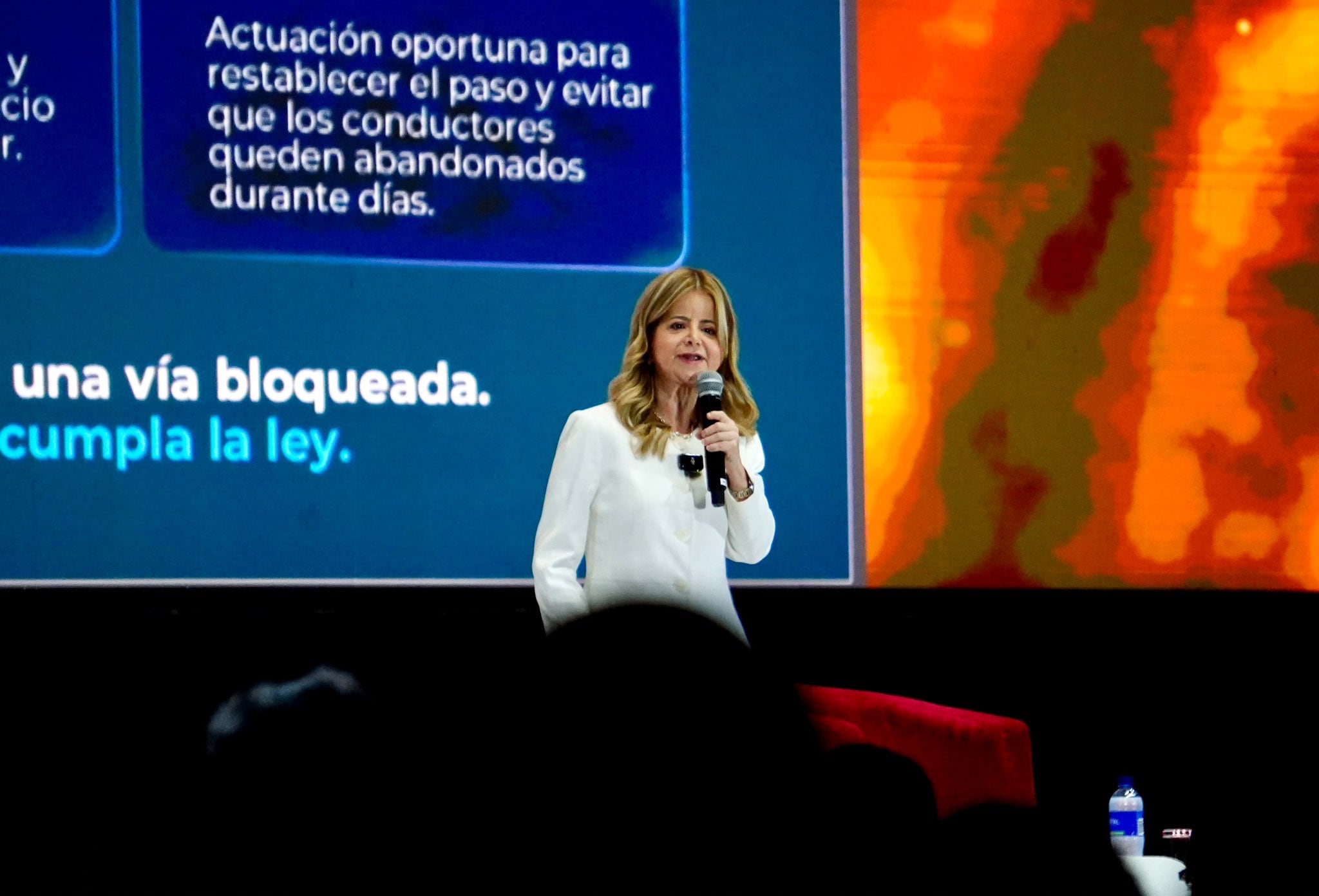 Elsa Noguera, ministra de Transporte, se encargó de presentar el proyecto para la seguridad de las vías en Colombia - crédito Ministerio de Transporte