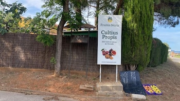 Multan a un campesino catalán por vender su fruta en la carretera: “Nos estamos volviendo más papistas que el Papa”