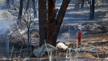 Última hora de los incendios en España, en directo | El Gobierno pide medios aéreos a la Unión Europea, tras declarar la emergencia nacional en Madrid y Ávila