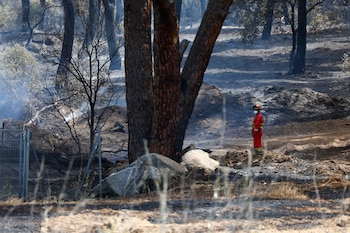 Miembros de la UME en la urbanización El Romillo del municipio toledano de Almorox. (Ismael Herrero/EFE)