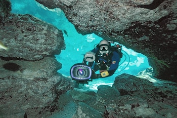 La Sala Wakulla y la