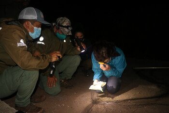 Fotografía de la captura de