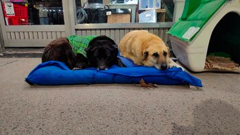 La Rubia y La morocha