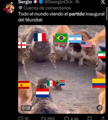 (captura de pantalla)
