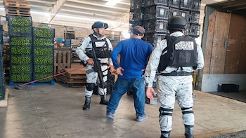 Los despliegues incluyeron patrullajes, reconocimientos