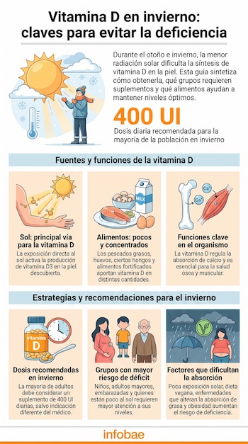 Infografía con ilustraciones de sol, termómetro, persona abrigada, alimentos, hueso, músculo, pastillas de vitamina D, personas, lluvia, y logo Infobae.