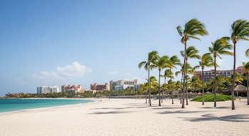 Las víctimas, Boris Jozic y