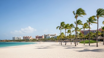 Hallan muertos a dos turistas