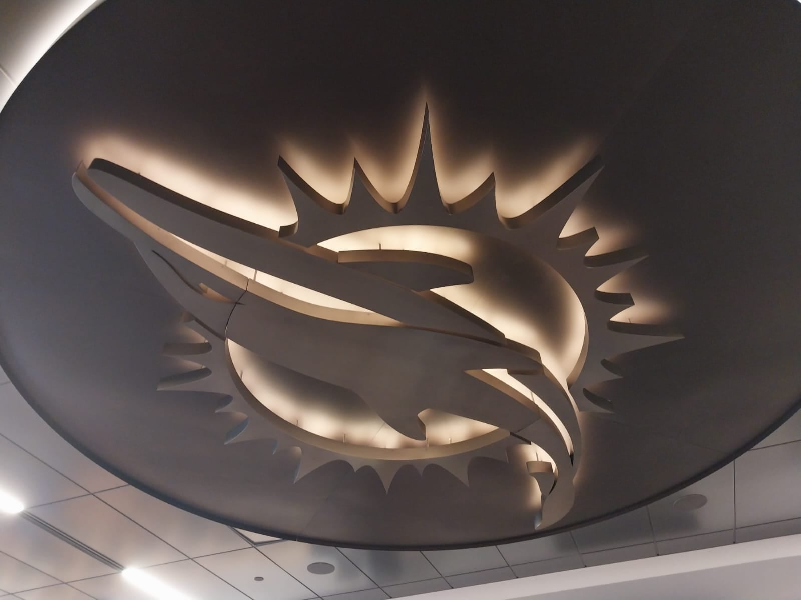 El logo de los Dolphins, en el techo del vestuario que ofició como sala de conferencias