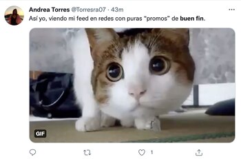 (Foto: Captura de pantalla /