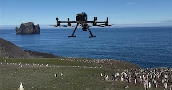 08/10/2026 Dron realizando recuento de individuos en la pingüinera de Vapour Col (Antártida).
Un estudio desarrollado por investigadores del Instituto de Ciencias Marinas de Andalucía (ICMAN), centro de investigación del Consejo Superior de Investigaciones Científicas (CSIC) realizado en colaboración con la Universidad de Granada, demuestra por primera vez que las grandes colonias antárticas de pingüino barbijo son una importante fuente natural de metano.
SOCIEDAD
CSIC/ ICMAN