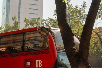 Elementos de la SSC de